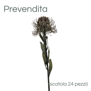 MIRATRADE RAMO PROTEA D11 H60 CM lilla (Cod. 42141-02)