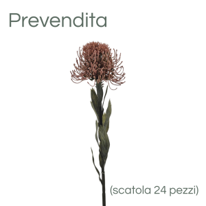 MIRATRADE RAMO PROTEA D11 H60 CM corallo (Cod. 42141-03)