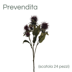 MIRATRADE RAMO DRY CARTAMUS X5 FIORI 16X12 H57 CM burgundy (Cod. 42142-01)