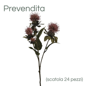 MIRATRADE RAMO DRY CARTAMUS X5 FIORI 16X12 H57 CM rosa-chiaro (Cod. 42142-02)