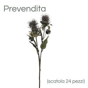 MIRATRADE RAMO DRY CARTAMUS X5 FIORI 16X12 H57 CM lilla (Cod. 42142-03)