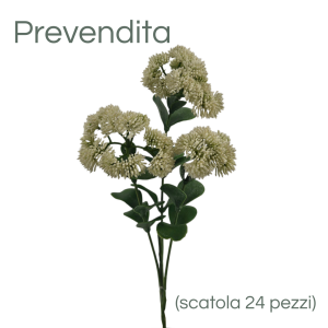 MIRATRADE RAMO CRASSULA X3 FIORI 18X12 H56 CM crema (Cod. 42144-01)