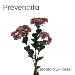 MIRATRADE RAMO CRASSULA X3 FIORI 18X12 H56 CM rosa (Cod. 42144-03)