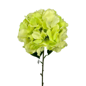 RAMO ORTENSIA CON DUE FOGLIE 65 CM verde (Cod. 28585-02)