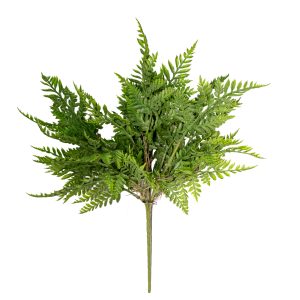 MAZZO FELCE X7 35 CM verde (Cod. 42119-01)