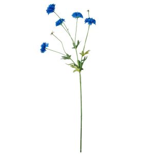 RAMO FIORDALISO X5 80 CM blu (Cod. 42120-01)