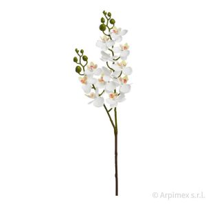 RAMO MINI ORCHIDEA X2 60 CM crema (Cod. 42150-01)