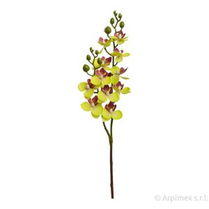 RAMO MINI ORCHIDEA X2 60 CM verde-giallo (Cod. 42150-02)