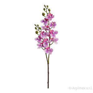 RAMO MINI ORCHIDEA X2 60 CM lavanda (Cod. 42150-03)