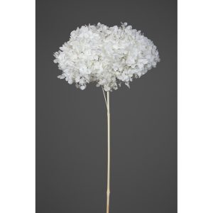 ORTENSIA ANNABELLE STABILIZZATA COLORATA H50 CM bianco (Cod. 42101-09)