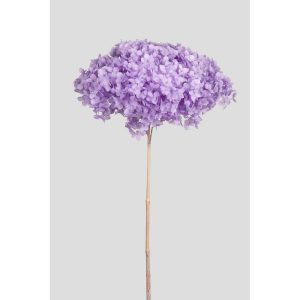 ORTENSIA ANNABELLE STABILIZZATA COLORATA H50 CM lilla (Cod. 42101-11)