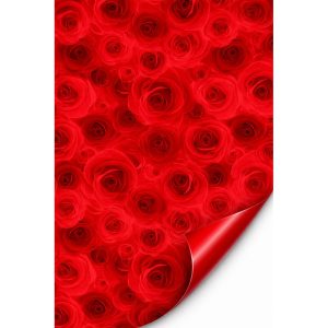 ROTOLO PERLATO BILATO CON DISEGNO ROSELLINE 40MY 1X25 MT rosso-nero (Cod. 42233-01)