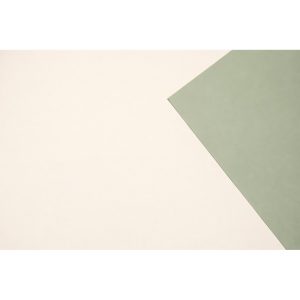 ROTOLO PERLATO BILATO "CONTRASTE" 1X40 MT nocciola-salvia (Cod. 23878-24)
