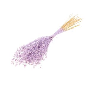 LINO SECCO MISTY lilla (Cod. 40993-02)