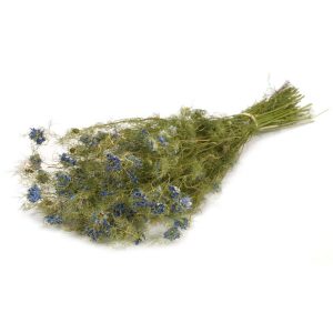 NIGELLA NATURALE blu (Cod. 42269-01)