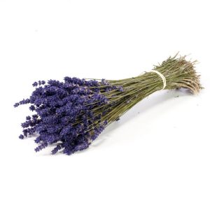 LAVANDA NATURALE 70-80 GR blu (Cod. 42270-01)