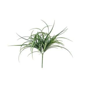 MAZZO BEAR GRASS X5 45 CM  (Cod. 42352-01)
