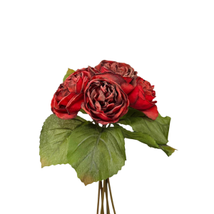 BUSH PEONIE X 6 TIPO FINTO SECCO rosso (Cod. 3628-02)