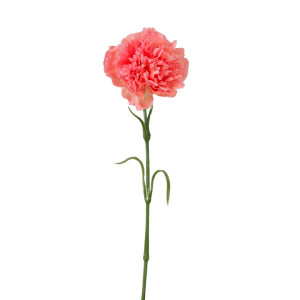 MIRATRADE RAMO GAROFANO REAL TOUCH H50 CM rosa (Cod. 42148-01)