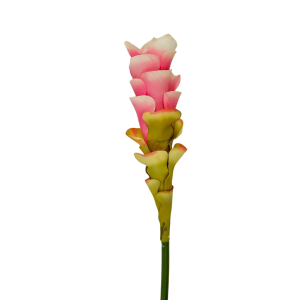 RAMO CURCUMA H76 CM rosa (Cod. 21226-01)