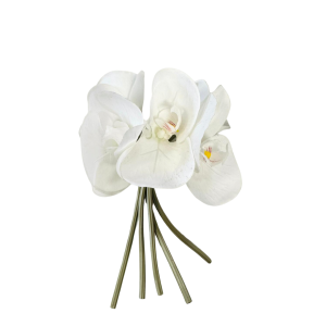 ORCHIDEA REAL TOUCH X5PZ  25CM bianco (Cod. 27768-01)