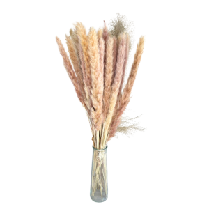 MAZZO FIORI SECCHI IN BOTTIGLIA H 25 D 8 CM naturale (Cod. 37081-01)