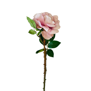 ROSA CON SPINE H60 malva (Cod. 24055-05)