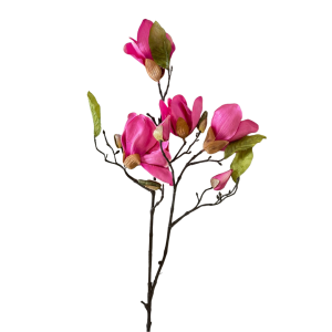 RAMO MAGNOLIA H80 CM  (Cod. 2163-01)
