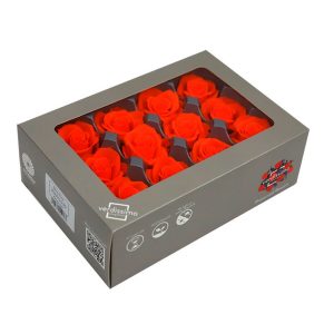 TESTE DI ROSA DIAM 3,5-4,5 MINI STABILIZZ. PZ 12 arancione (Cod. 8331-15)