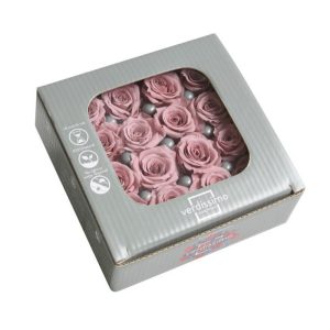 BOX TESTE DI ROSA STAB. DIAM. 2,5-3 CM PRINCESS PZ.16 cherry-vintage (Cod. 8332-11)