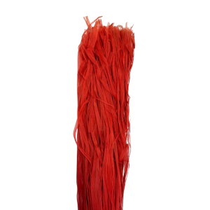 RAFFIA SCHELETRINA COLORATA 100 GR rosso (Cod. 6040-01)