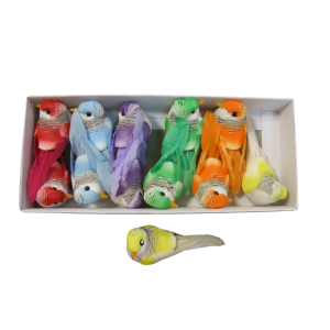 SET 12 PZ. BIRD BEAUTY CON CLIP 7 CM  (Cod. 42411-01)