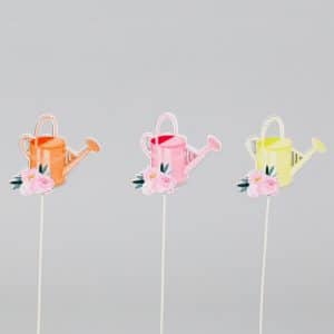 SET 12 PICK ANNAFFIATOIO E ROSE colori-assortiti (Cod. 42494-01)