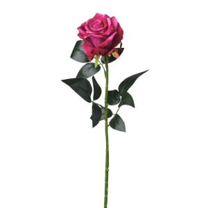 ROSA SINGOLA VELVET  16X74 CM beauty (Cod. 26615-02)