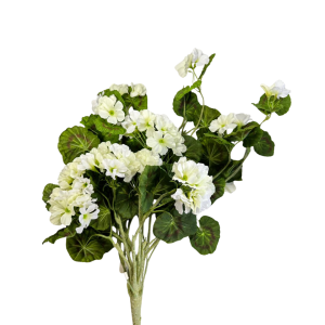 PIANTA GERANIO X6 crema (Cod. 14331-01)