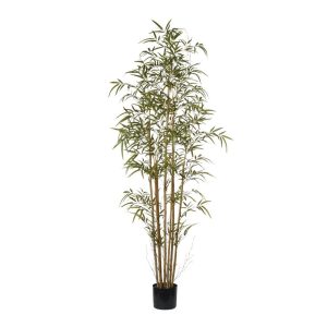 [192] PIANTA BAMBOO H192 CM verde (Cod. 42458-01)