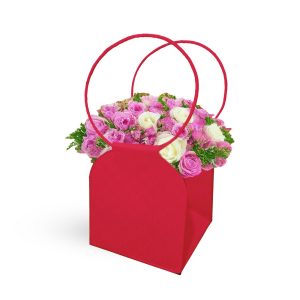 SET 10 PZ. BORSA TRIANON 15X15 H16,5 rosso (Cod. 42470-03)
