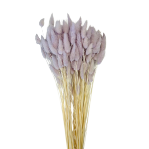 LAGURUS TOPINI GR.100 lavanda (Cod. 32442-22)