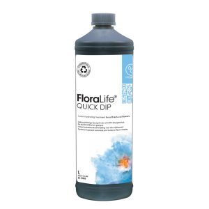 OASIS FLORALIFE QUICK DIP 100 LT.1  (Cod. 22918-01)
