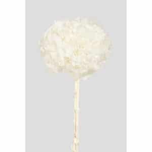 ORTENSIA PETALO GRANDE STABILIZZATA D20 H50 CM bianco (Cod. 42473-05)