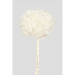 ORTENSIA PETALO GRANDE STABILIZZATA D20 H50 CM bianco (Cod. 42473-05)