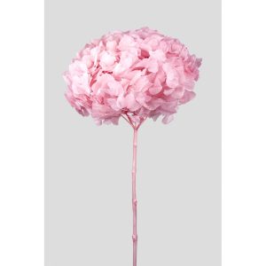 ORTENSIA PETALO GRANDE STABILIZZATA D20 H50 CM rosa---candy-pink (Cod. 42473-04)