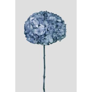 ORTENSIA PETALO GRANDE STABILIZZATA D20 H50 CM dusty-blue (Cod. 42473-01)