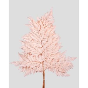 FELCE HOLLY STABILIZZATA 10 STELI 47 CM rosa-nude (Cod. 42234-02)