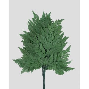 FELCE HOLLY STABILIZZATA 10 STELI 47 CM verde (Cod. 42234-03)