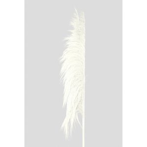 PAMPAS STABILIZZATO 5 STELI H112 bianco (Cod. 42475-01)