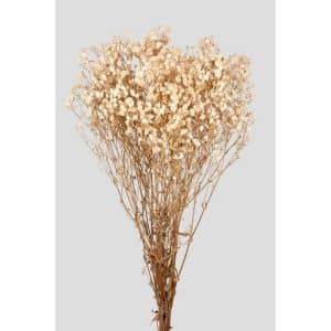 GYPSOPHILA STABILIZZATA H65 CM  crema (Cod. 42526-01)