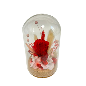 CAMPANA COMPOSIZIONE ROSA STABILIZZATA D8 H15 rosso (Cod. 42450-01)