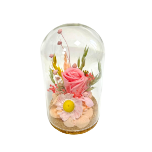 CAMPANA COMPOSIZIONE ROSA STABILIZZATA D8 H15 rosa (Cod. 42451-01)