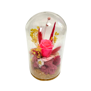 CAMPANA COMPOSIZIONE ROSA STABILIZZATA D8 H15 fucsia (Cod. 42452-01)